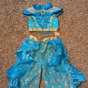 Disney Jasmine costume